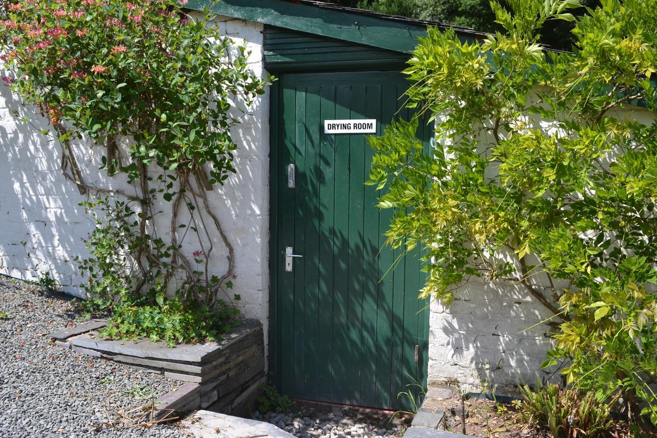 Coed-Y-Fron Bed & Breakfast Betws-y-Coed Dış mekan fotoğraf