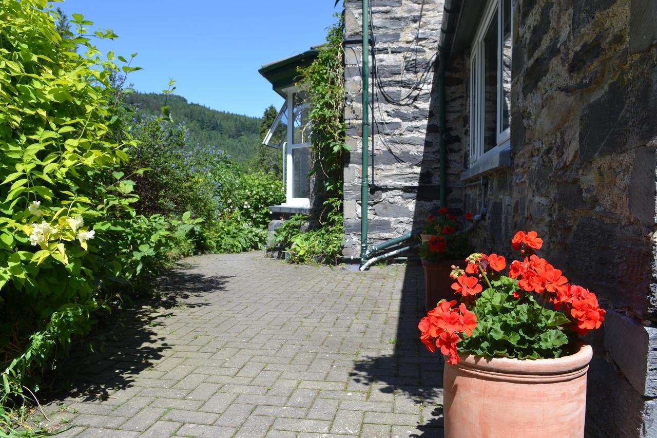 Coed-Y-Fron Bed & Breakfast Betws-y-Coed Dış mekan fotoğraf